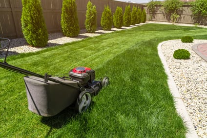 Why Garden Maintenance Is So Important In The North Shore
